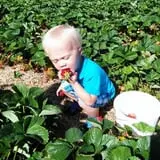 Morse Brothers Farms photo