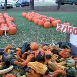 Morse Brothers Farms photo