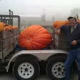 Morse Brothers Farms photo