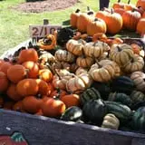 Morse Brothers Farms photo