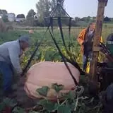 Morse Brothers Farms photo