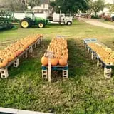 That Pickin Patch photo