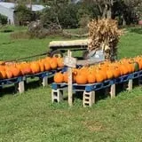 That Pickin Patch photo