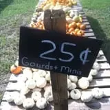 That Pickin Patch photo