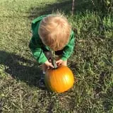 That Pickin Patch photo