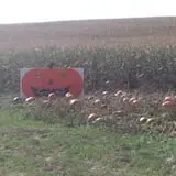 That Pickin Patch photo