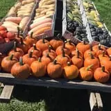 That Pickin Patch photo