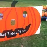 That Pickin Patch photo