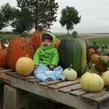 That Pickin Patch photo