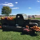 That Pickin Patch photo