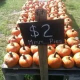 That Pickin Patch photo