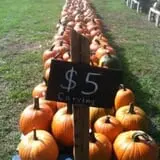 That Pickin Patch photo