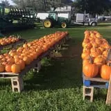 That Pickin Patch photo