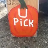 That Pickin Patch photo