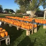 That Pickin Patch photo