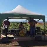 Cool Patch Pumpkins photo