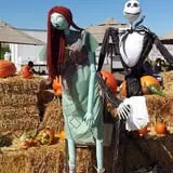 Cool Patch Pumpkins photo