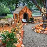 Papa's Pumpkin Patch & Papa's Polar Patch photo