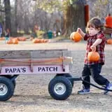 Papa's Pumpkin Patch & Papa's Polar Patch photo