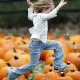 Papa's Pumpkin Patch & Papa's Polar Patch photo