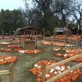 Papa's Pumpkin Patch & Papa's Polar Patch photo