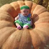Papa's Pumpkin Patch & Papa's Polar Patch photo