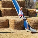 Papa's Pumpkin Patch & Papa's Polar Patch photo