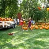 Papa's Pumpkin Patch & Papa's Polar Patch photo