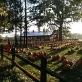 Papa's Pumpkin Patch & Papa's Polar Patch photo
