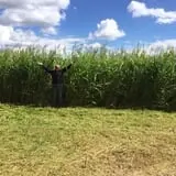 Papa's Pumpkin Patch & Papa's Polar Patch photo