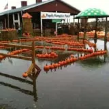 Papa's Pumpkin Patch & Papa's Polar Patch photo