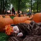 Papa's Pumpkin Patch & Papa's Polar Patch photo