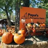 Papa's Pumpkin Patch & Papa's Polar Patch photo