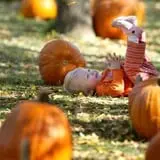 Papa's Pumpkin Patch & Papa's Polar Patch photo