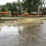 Papa's Pumpkin Patch & Papa's Polar Patch photo
