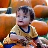 Papa's Pumpkin Patch & Papa's Polar Patch photo