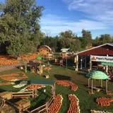 Papa's Pumpkin Patch & Papa's Polar Patch photo