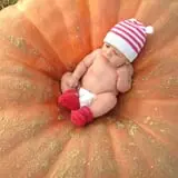 Papa's Pumpkin Patch & Papa's Polar Patch photo