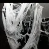 Scare U University  photo