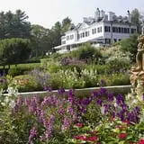 The Mount photo
