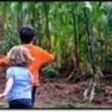Risser-Marvel Robin Hood Adventure Maze photo