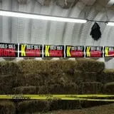The Last Ride Haunted Hayride photo