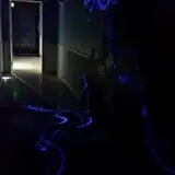 Mental Trap Escape Room Game photo