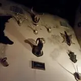 Mental Trap Escape Room Game photo