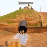 Fun Time Farms Corn MAiZE & Zombie Shootout photo