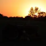 Fun Time Farms Corn MAiZE & Zombie Shootout photo