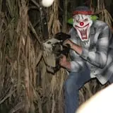Fun Time Farms Corn MAiZE & Zombie Shootout photo