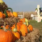 Fun Time Farms Corn MAiZE & Zombie Shootout photo