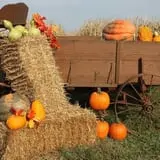 Fun Time Farms Corn MAiZE & Zombie Shootout photo