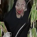 Fun Time Farms Corn MAiZE & Zombie Shootout photo